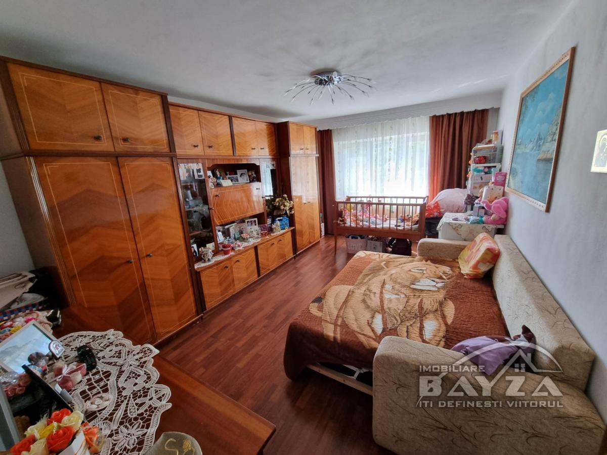 Pret: 50.000 EURO, Vanzare apartament 2 camere, zona Baia Sprie - Strada Plevnei