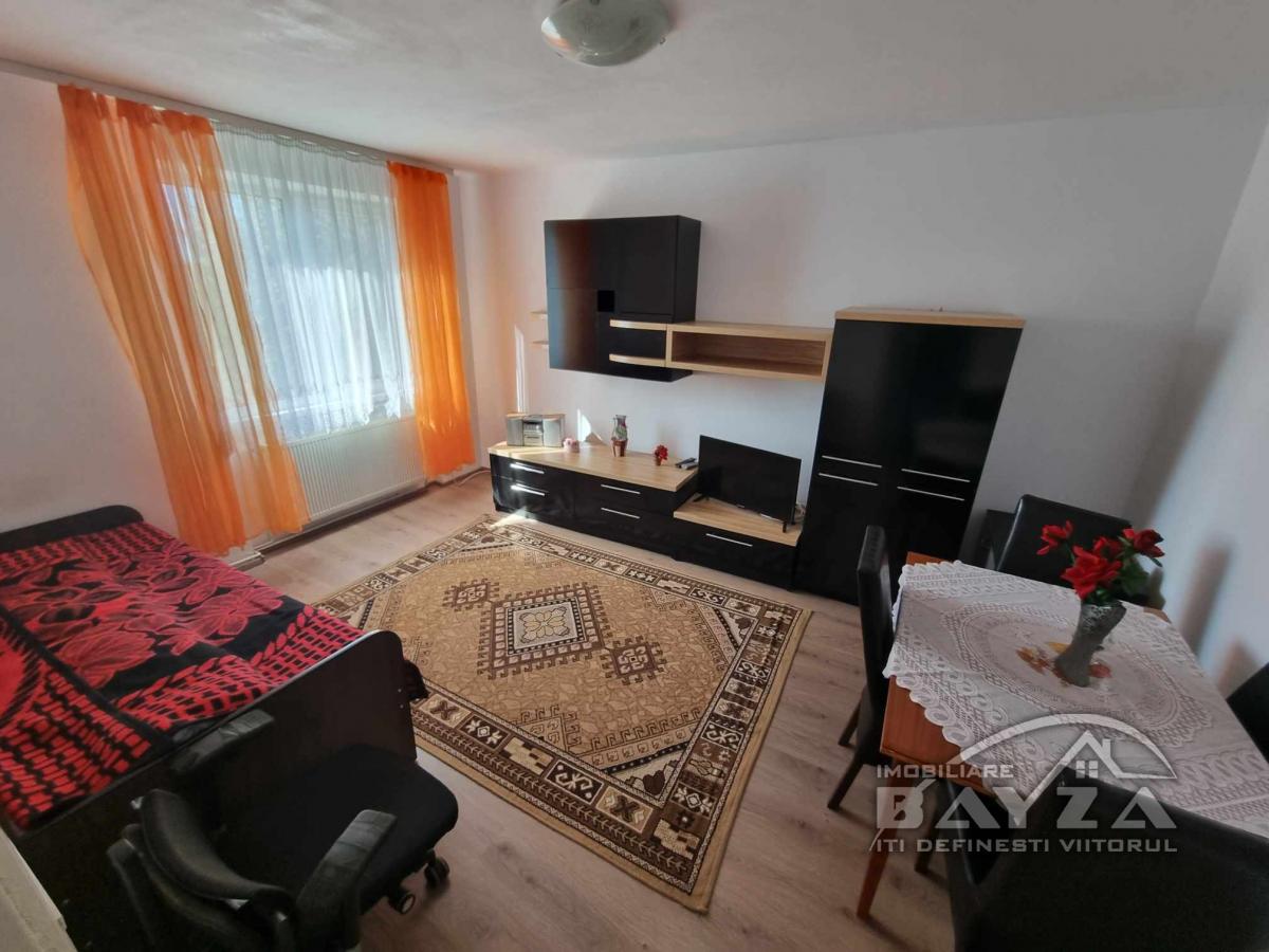 Pret: 260 EURO, Inchiriere apartament 2 camere, zona Bulevardul Independentei - RFN