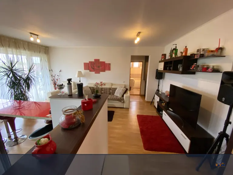 Apartament 2 camere - Cartier Vasile Alecsandri - Baia Mare - Strada Păltinișului nou