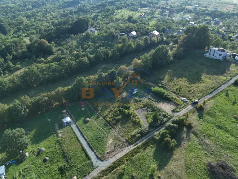 Teren Intravilan - Baia Sprie - Strada Salcâmului