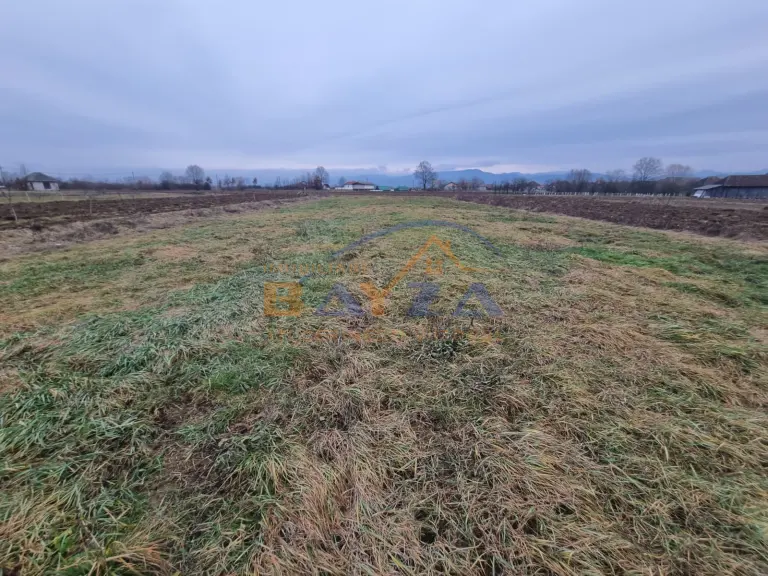 Teren Intravilan - Județul Maramureș - Bozânta Mică