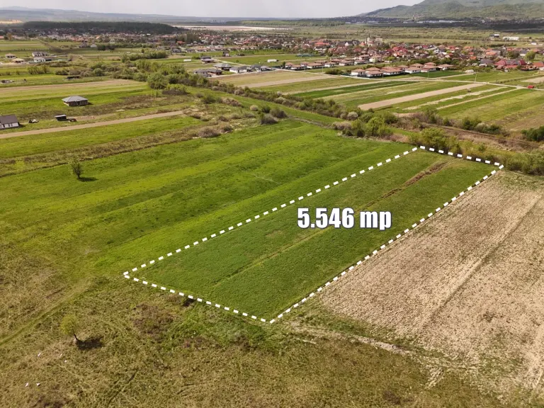 Teren Intravilan - zona Bazei Sportive - Recea - Strada Nucului