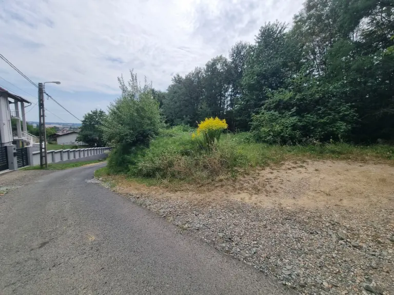 Teren Intravilan - Baia Mare - Strada Colinei