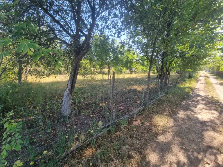 Teren Intravilan - Bozânta Mică - Strada Deva