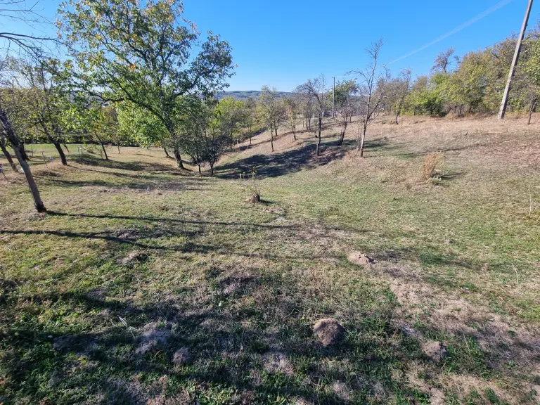 Teren Intravilan - județul Maramureș - Localitatea Remecioara - Strada Principală