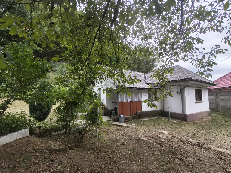 Casă - Cartier Ferneziu - Baia Mare - Strada Valea Tinei